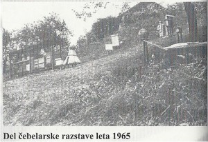 Del čebelarske razstave 1965